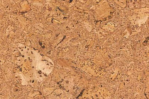 Пробковое покрытие Natural Cork замковое Rombo Neu фото 1 | FLOORDEALER